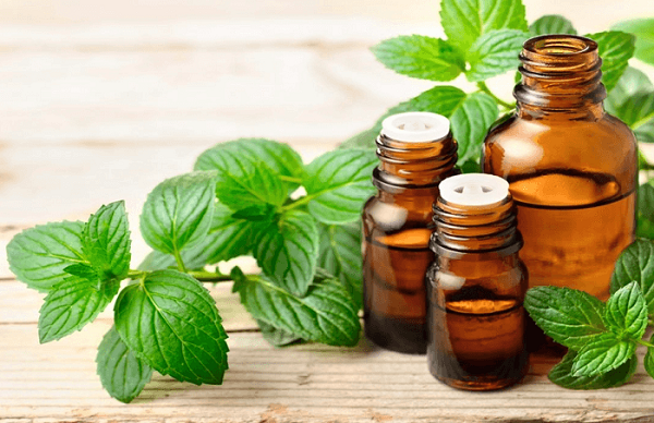 thanh phan cua tinh dau bac ha