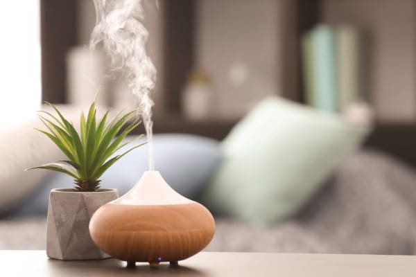 cach su dung tinh dau bac ha