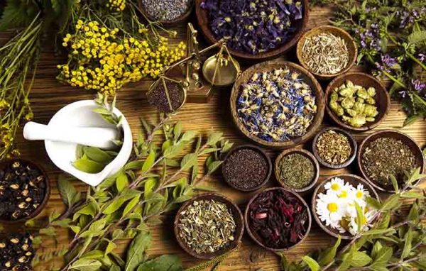 Bị rong kinh uống gì hết? Thuốc nam