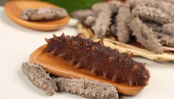 Hải sâm: Cách sơ chế, công dụng, cách sử dụng hiệu quả nhất