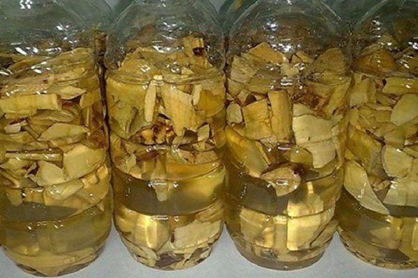 bài thuốc từ cây mật gấu