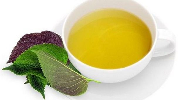 bài thuốc từ lá tía tô