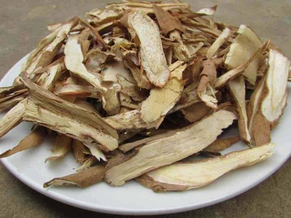 bài thuốc từ sâm cau