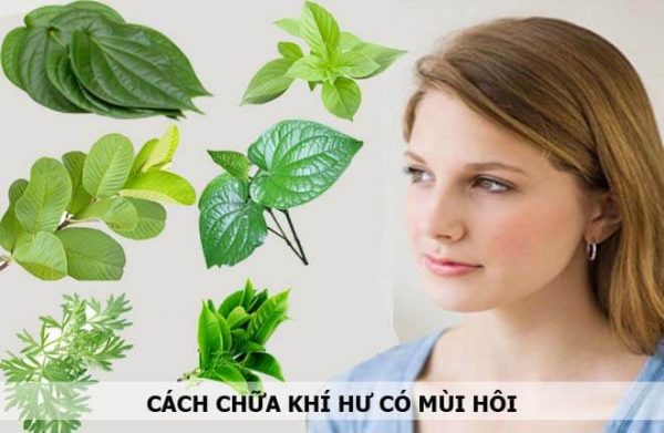 Bật mí 20+ cách chữa khí hư có mùi hôi bằng bài thuốc dân gian