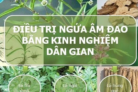 Top 18+ bài thuốc dân gian chữa viêm âm đạo tại nhà an toàn, hiệu quả