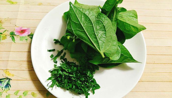 cach tri viem xoang tai nha bang la lot