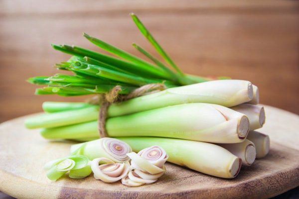 công dụng của cây sả