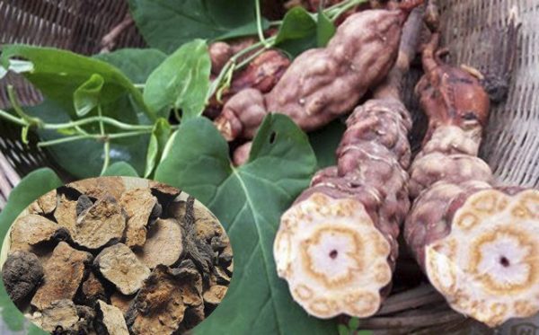 Công dụng theo y học cổ truyền