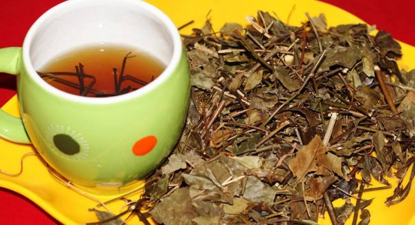 đối tượng sử dụng chè vằng