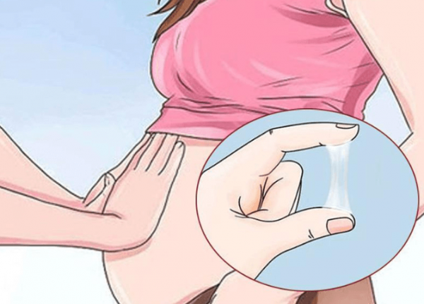 Bước vào thời kỳ rụng trứng