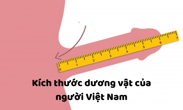 Kích cỡ dương vật Việt Nam và 10+ Điều nam giới chưa biết
