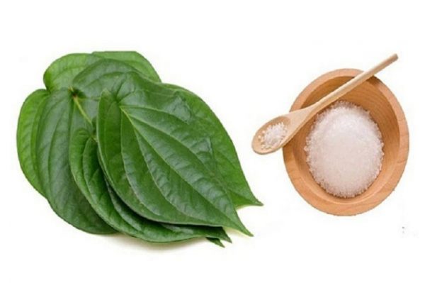 Chữa viêm phụ khoa bằng lá trầu không và muối biển