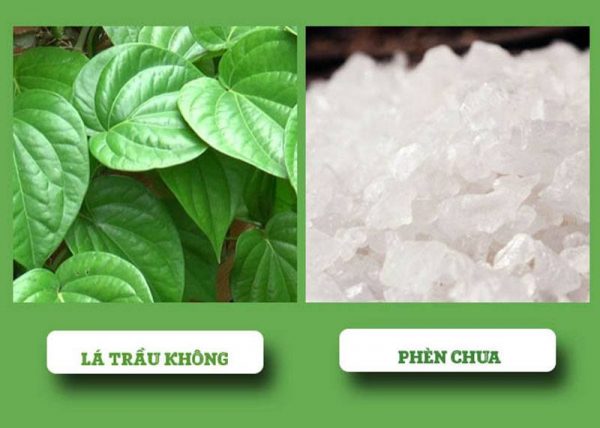 Lá trầu không và phèn chua chữa viêm nhiễm phụ khoa
