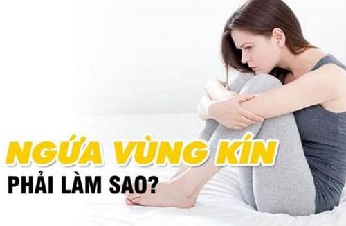 Ngứa vùng kín phải làm sao_Gợi ý cách giảm ngứa vùng kín nhanh