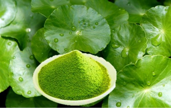 rau má trong làm đẹp trị sẹo