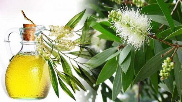 nhung luu y khi dung tinh dau tram