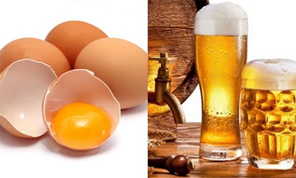 meo chua gau tai nha