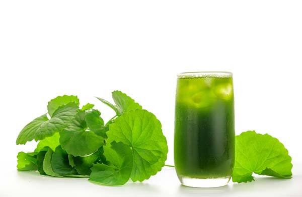 điều trị bị ngứa nổi mụn nước hiệu quả tại nhà