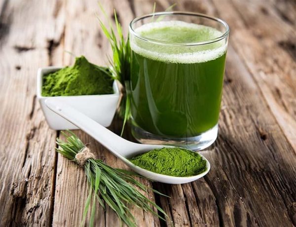 bài thuốc từ cây hẹ