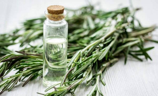 bài thuốc từ xạ hương