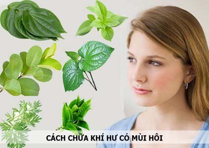 Tổng hợp 20+ cách chữa khí hư có mùi hôi tại nhà tốt nhất hiện nay