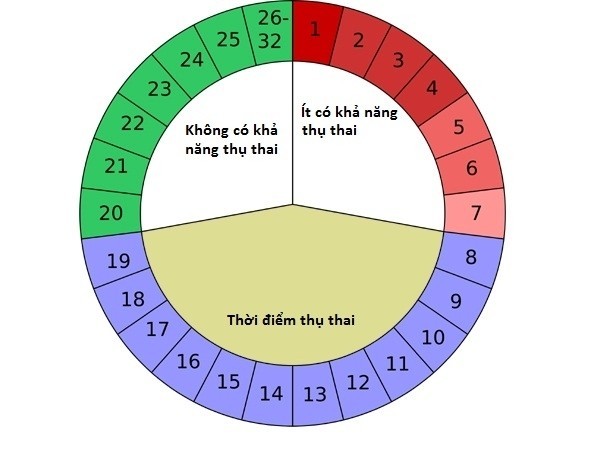 Quá trình diễn ra chu kỳ kinh nguyệt