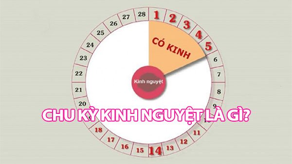 Kinh nguyệt là gì – 10+ Thông tin nhất định chị em phải nắm rõ