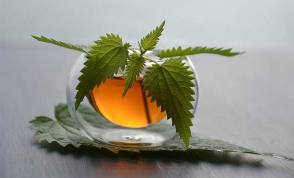 chua ngu ngay bang dan gian