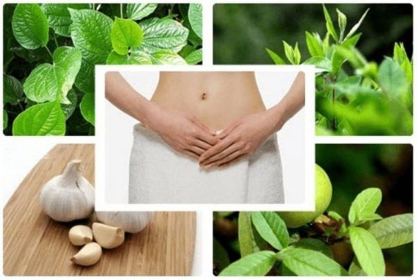 Tổng hợp 20+ cách chữa khí hư màu trắng đục hiệu quả nhất hiện nay
