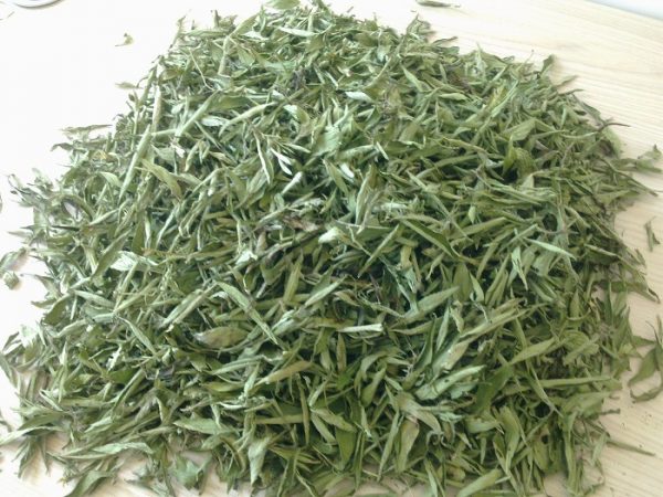 cỏ ngọt có tác dụng gì