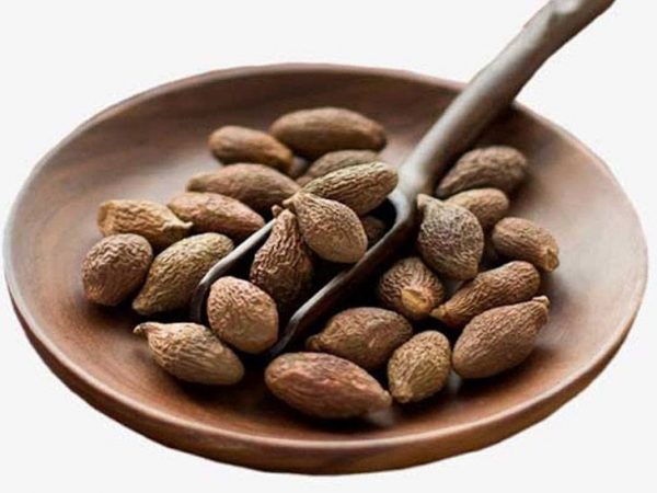 công dụng của hạt đười ươi