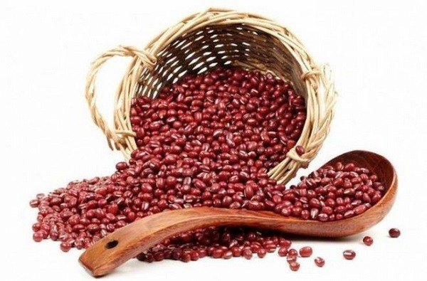 đặc điểm đậu đỏ