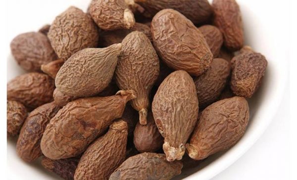 hạt đười ươi là gì