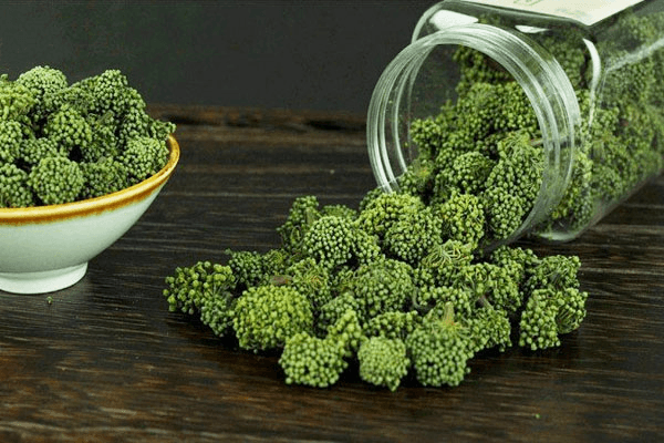 [Hoa tam thất] 10+ Đặc điểm, công dụng, cách dùng, lưu ý khi sử dụng