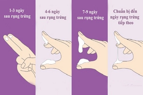 Khí hư ra nhiều nguyên nhân do đâu?
