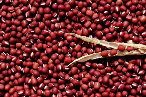 tác dụng từ đậu đỏ