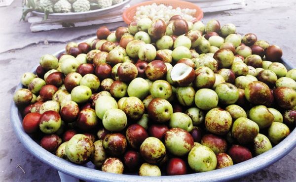 thế nào là táo tàu