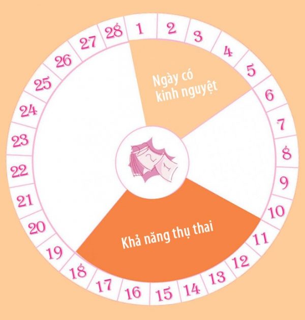 Vòng kinh nguyệt là gì, diễn ra như thế nào?