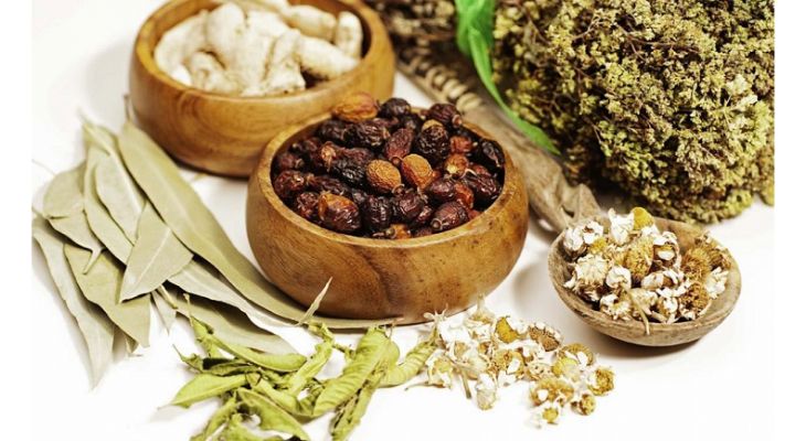 chữa ngứa da đầu theo đông y