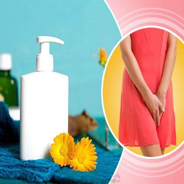[Top 10] Nước rửa phụ khoa trị nấm ngứa an toàn, hiệu quả, tốt nhất