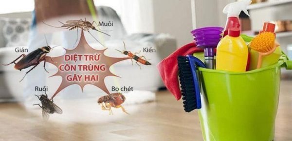 Mẹo để chống côn trùng đốt