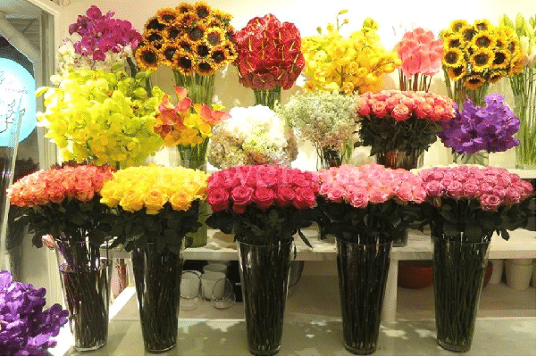Cửa hàng hoa Kaby