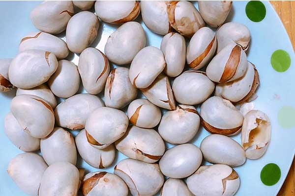 Tác dụng của hạt mít