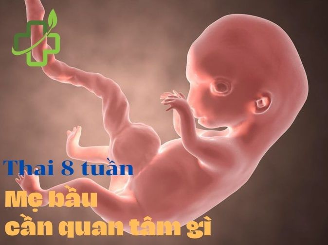 Thai 8 tuần tuổi mẹ bầu cần quan tâm những gì