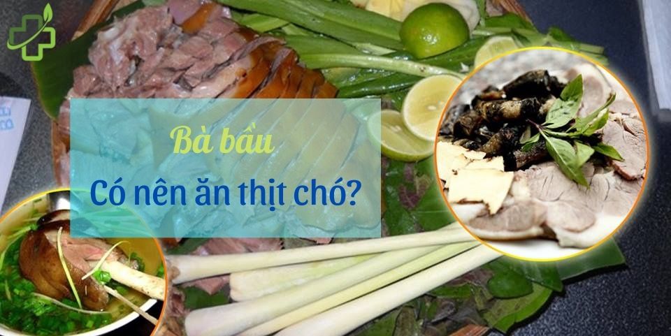 Bà bầu có ăn được thịt chó không? Một số loại thịt tốt dành cho bà bầu