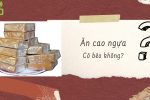 Cao ngựa: Ăn có béo không? – Cách ăn để tăng cân ra sao?