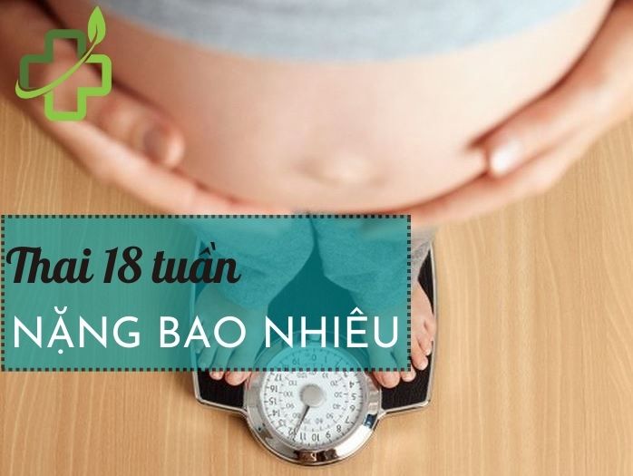 thai 18 tuần nặng bao nhiêu
