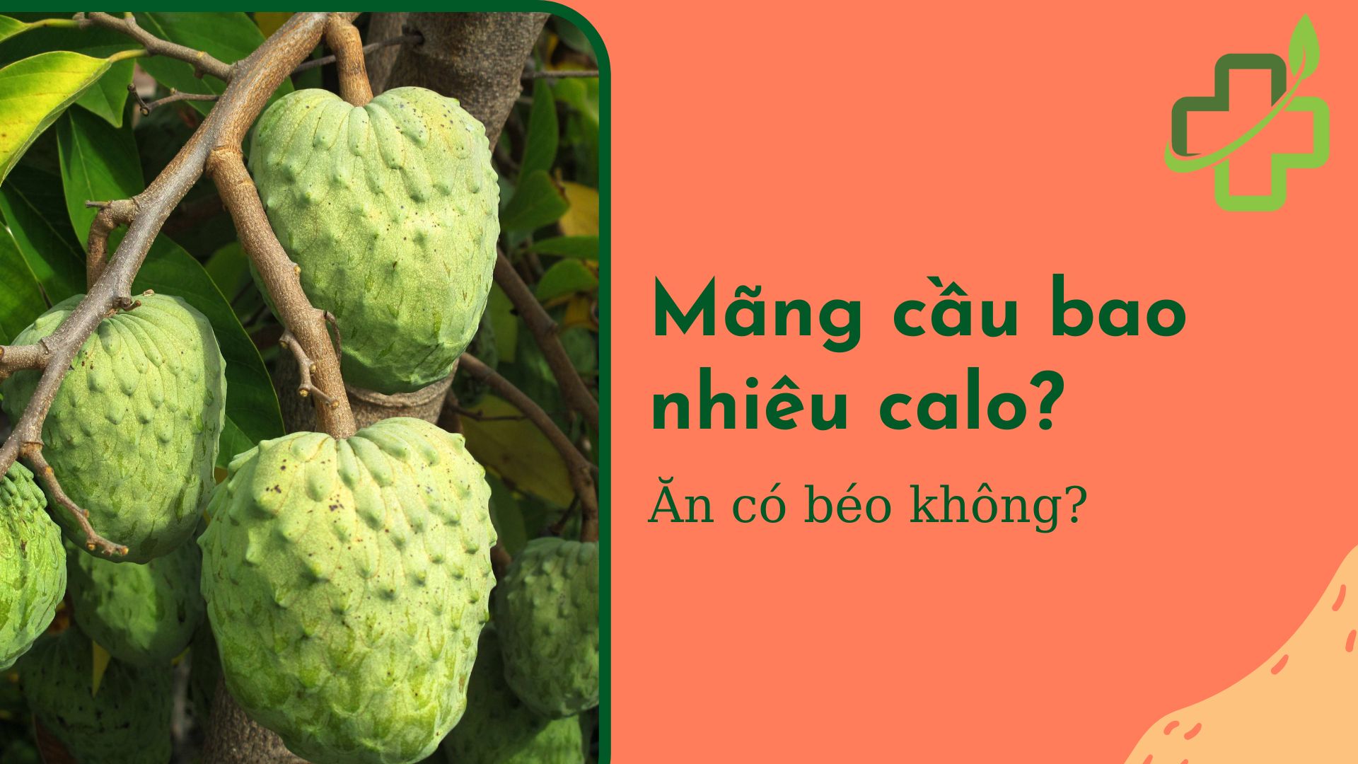 Trái mãng cầu: 100g chứa bao nhiêu calo - Ăn có béo không?