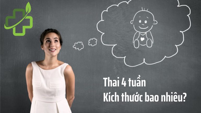 Nhận biết thai 4 tuần tuổi: Kích thước bao nhiêu, đã vào tử cung chưa