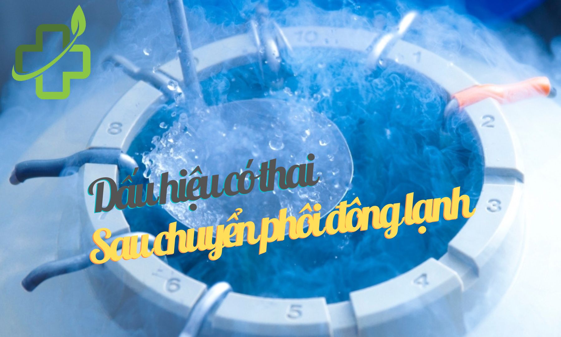 6+ Dấu hiệu có thai sau chuyển phôi đông lạnh chuẩn xác 90%